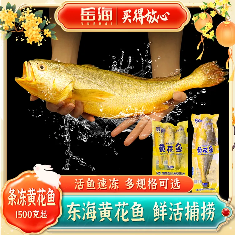 【岳海】3斤起 黄花鱼东海大黄鱼宁德顺丰直发活鱼速冻多规格