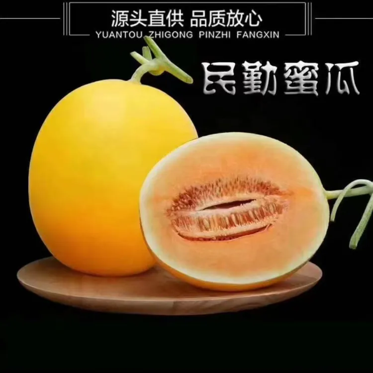 【顺丰/京东】甘肃民勤蜜瓜新鲜沙漠蜜瓜当季时令水果产地直发