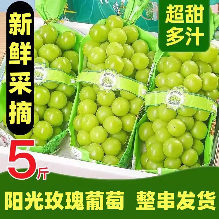 【现摘阳光玫瑰】正宗新鲜孕妇阳光玫瑰特大果葡萄应季阳光青提应季