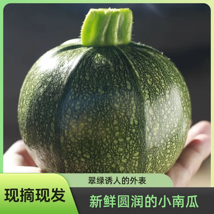 农家自种小圆瓜嫩南瓜鲜南瓜清甜小南瓜农家当季蔬菜现摘现发包邮