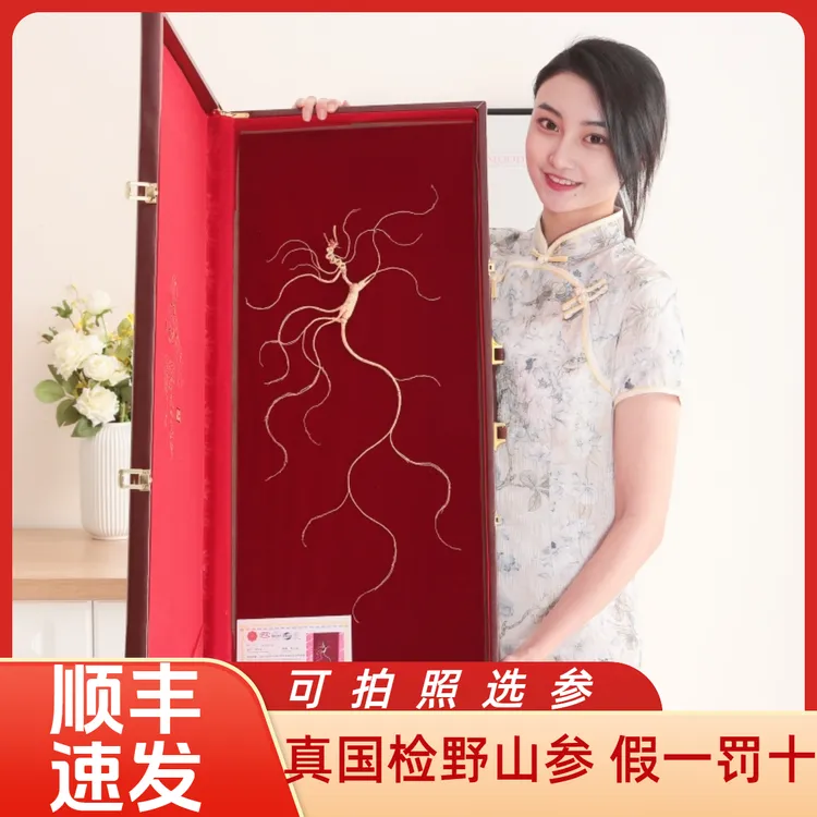 顺丰邮国检野山参送礼长白山人参礼盒东北特产煲汤男性滋补送长辈
