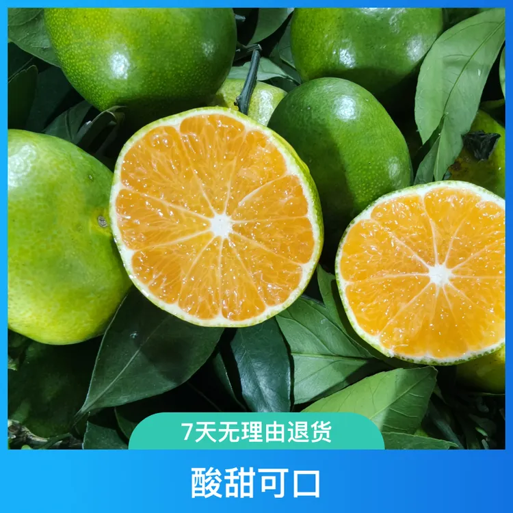 20斤装江西蜜桔青皮蜜橘早熟无籽皮薄肉厚酸甜可口孕妇水果