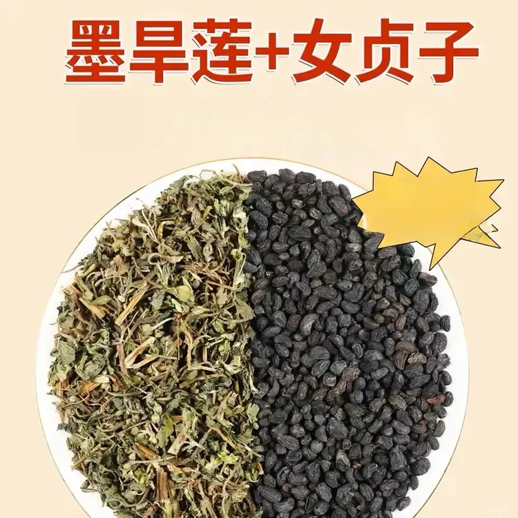 女贞子和旱莲草新货泡水喝旱莲草黄芪女贞子墨旱莲搭配红枸杞泡水