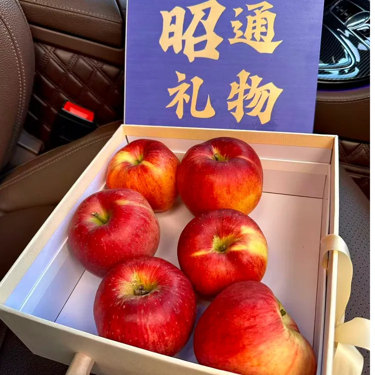 昭通苹果 万千学子的思乡之情