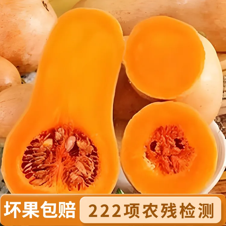 【现采现发-生熟两吃】粉蛮腰2号水果南瓜 粉糯香甜奶油南瓜整箱5斤