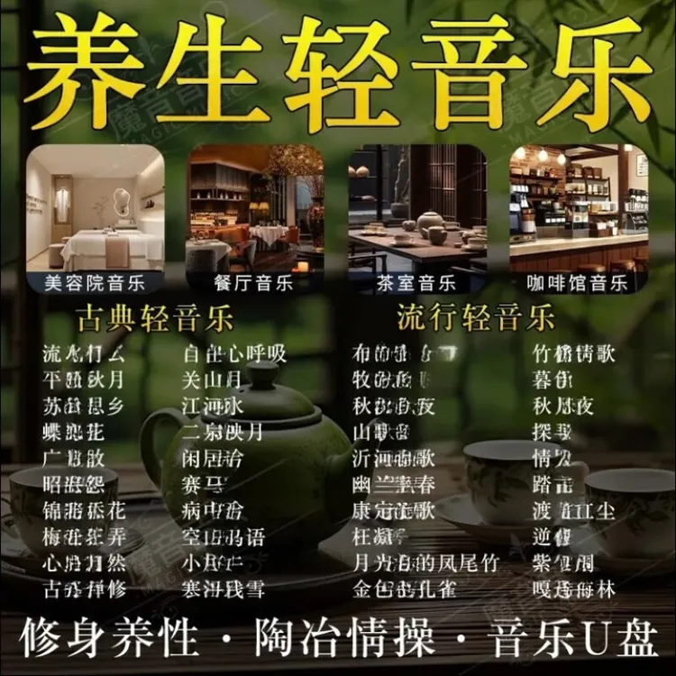 五音疗愈舒缓养生馆轻音乐无失真随身碟饭厅餐吧茶室专用音响歌曲