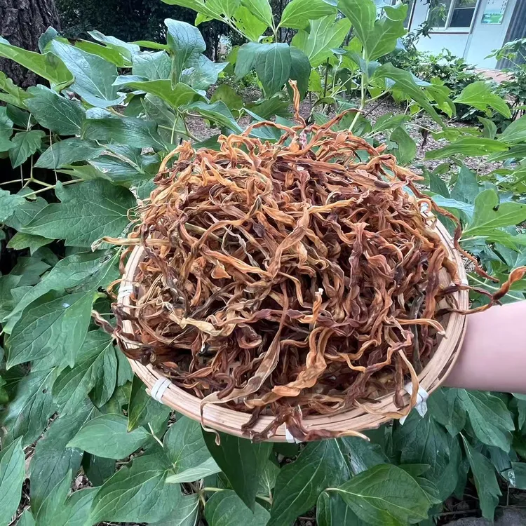 理想田园  新货嫩干豆角  传统晾晒炖肉蒸包子