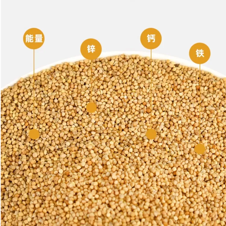 新黄谷子带壳小米鹦鹉粮营养均衡虎皮玄凤牡丹天气上海专用鸟食