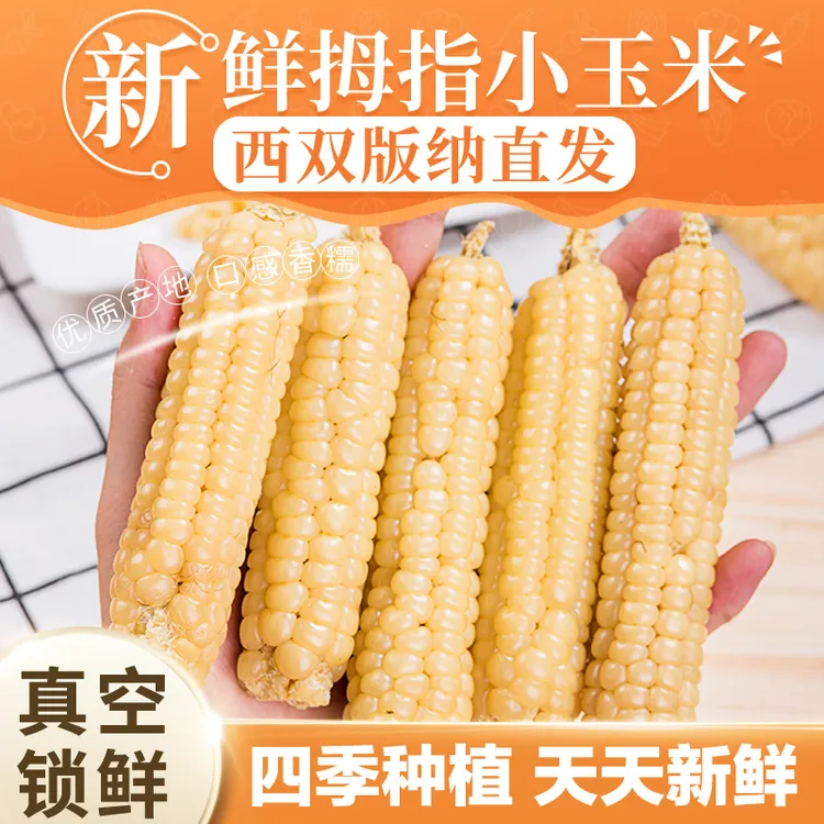 西双版纳拇指玉米新鲜真空包装即食1斤/2斤糯玉米香糯小玉米低脂