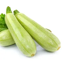 【散】生瓜约400g±30g/份