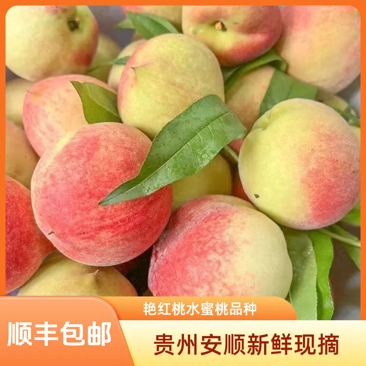 【顺丰包邮】贵州新鲜现摘艳红桃水蜜桃老树脆桃时令水果小时候味道