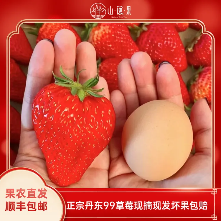 顺丰空运果农直发丹东99草莓大果果王新鲜采摘坏果包赔孕妇可食商品图