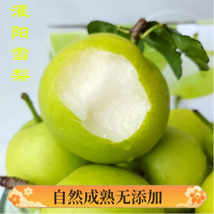 灌阳雪梨新鲜应季自然成熟甜酥脆爽口汁水饱满现摘现发货包邮