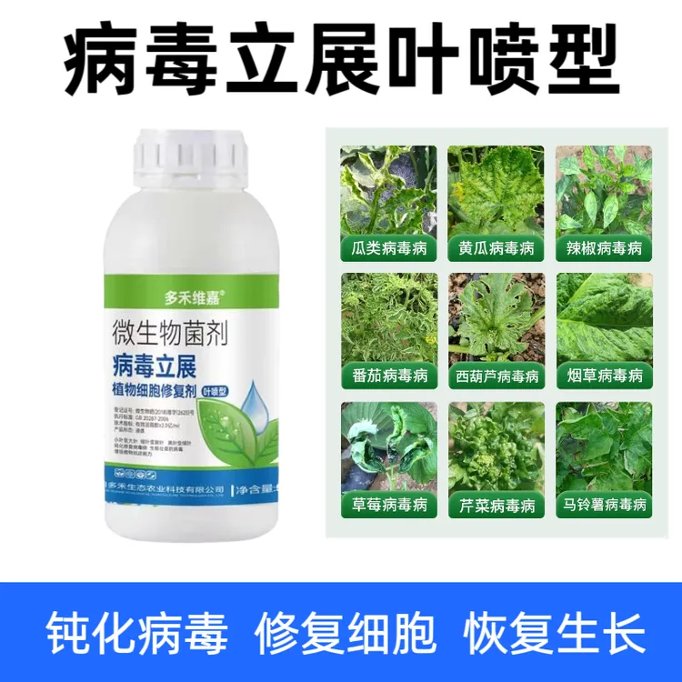病毒立展防治黄瓜西瓜辣椒草莓番茄病毒病专用药花叶病病毒叶面肥
