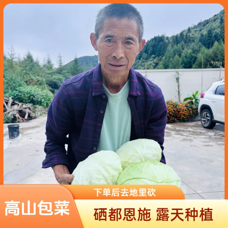 新鲜包菜恩施高山种植5斤（重量会多给，当作损耗）