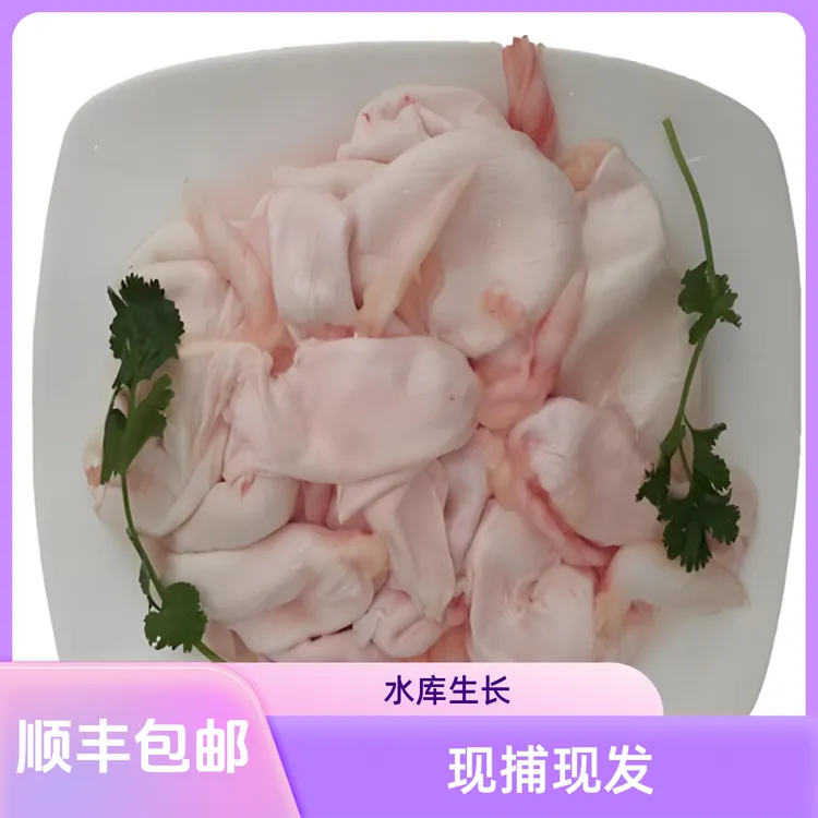 顺丰包邮工厂直销现杀速冻鱼泡鱼鳔鱼肚鱼籽鱼白野生鲫鱼孕妇下奶