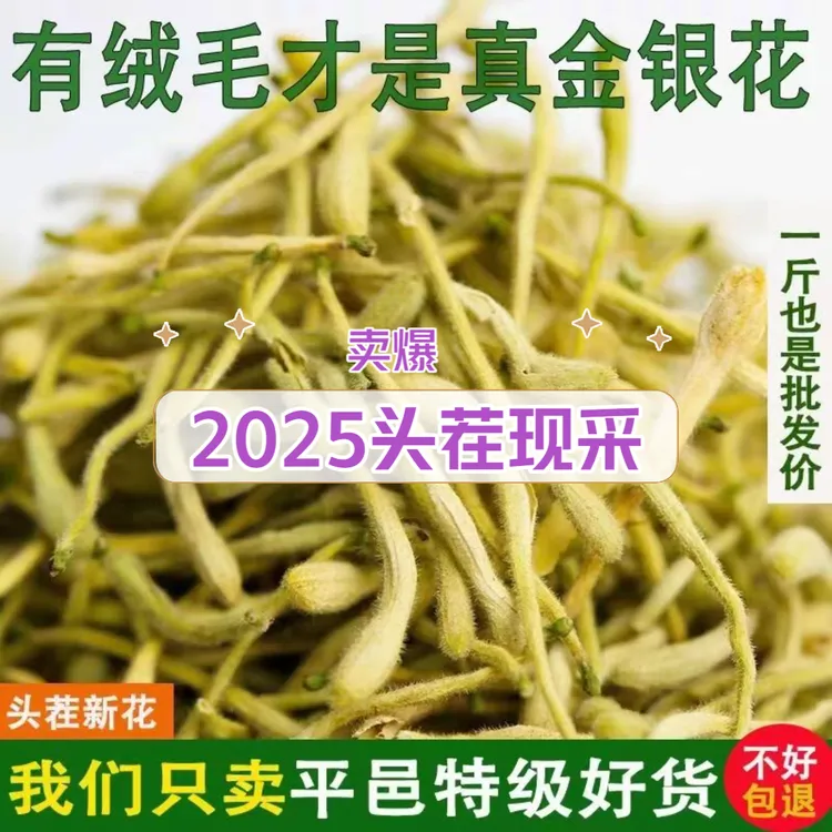 【2025头茬现采】山东沂蒙金银花之乡带绒毛金银花茶人工采摘泡花茶