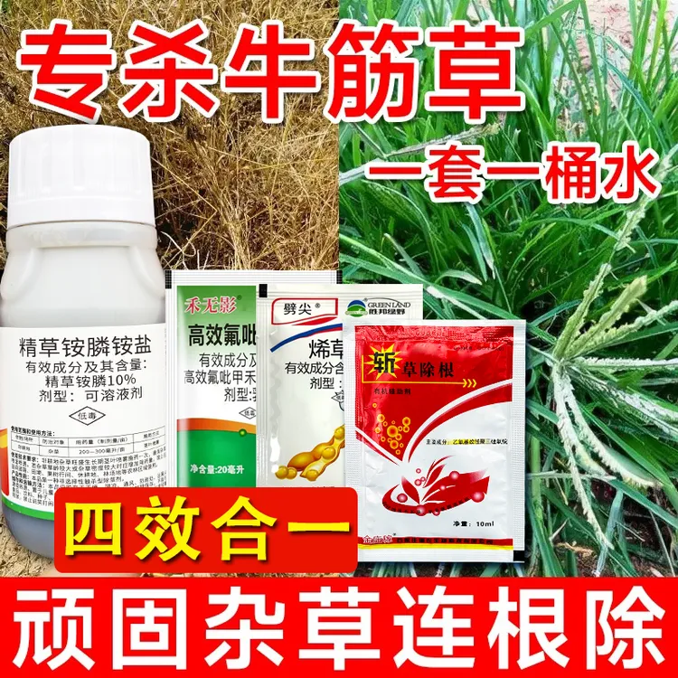 牛筋草专用药专杀牛筋草克星茅草游草芦苇除草剂烯草酮精草复配药