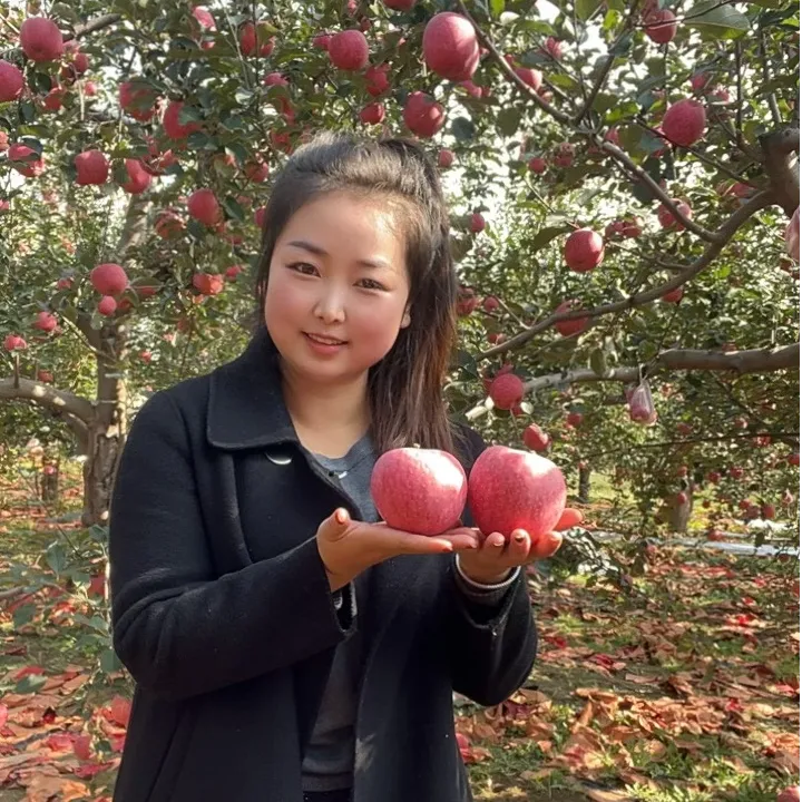 甘肃苹果2025年头茬【红富士】应季鲜果脆甜多汁新鲜水果产地直发