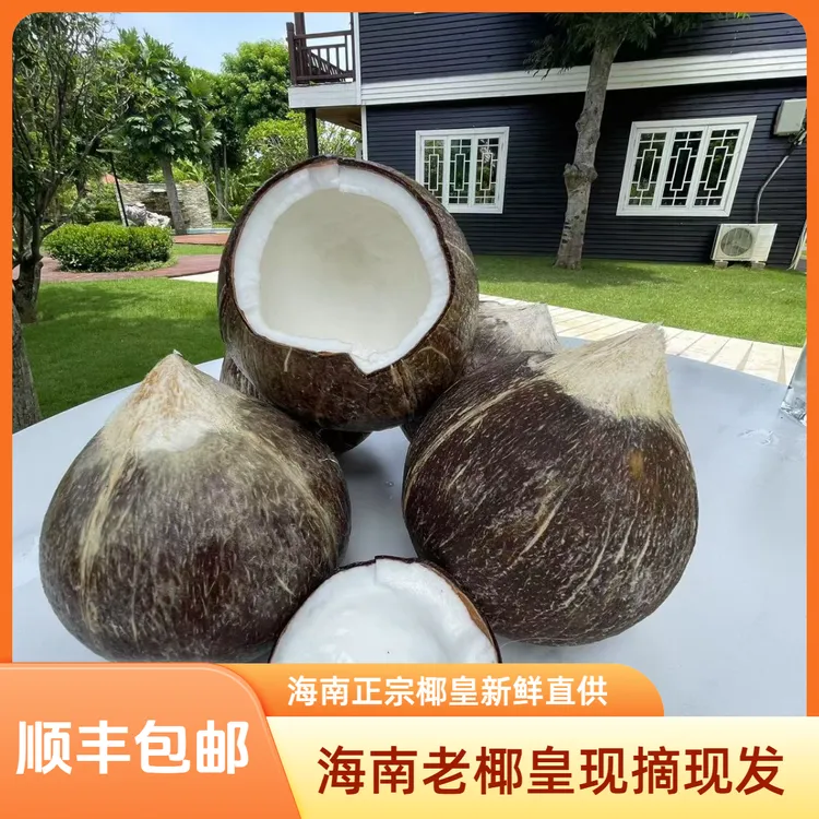 海南老椰皇顺丰包邮/海南奶椰 /椰皇/牛奶椰/椰青/新鲜海南椰子/ 