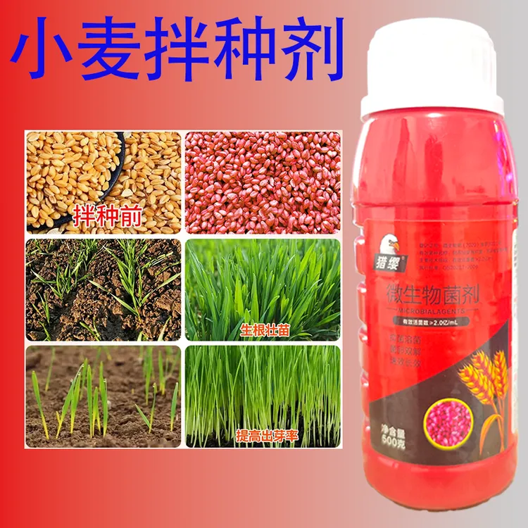 小麦拌种剂新升级生物拌种生根壮苗苗齐苗壮提质增产包衣剂