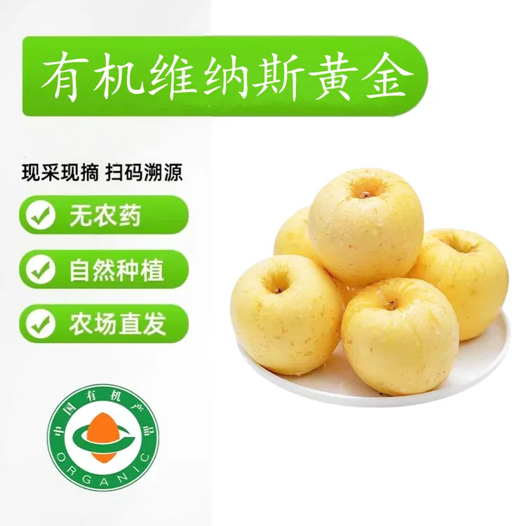 金星动力庄园【有机苹果】2025农场直发原生态纯甜黄金维纳斯苹果