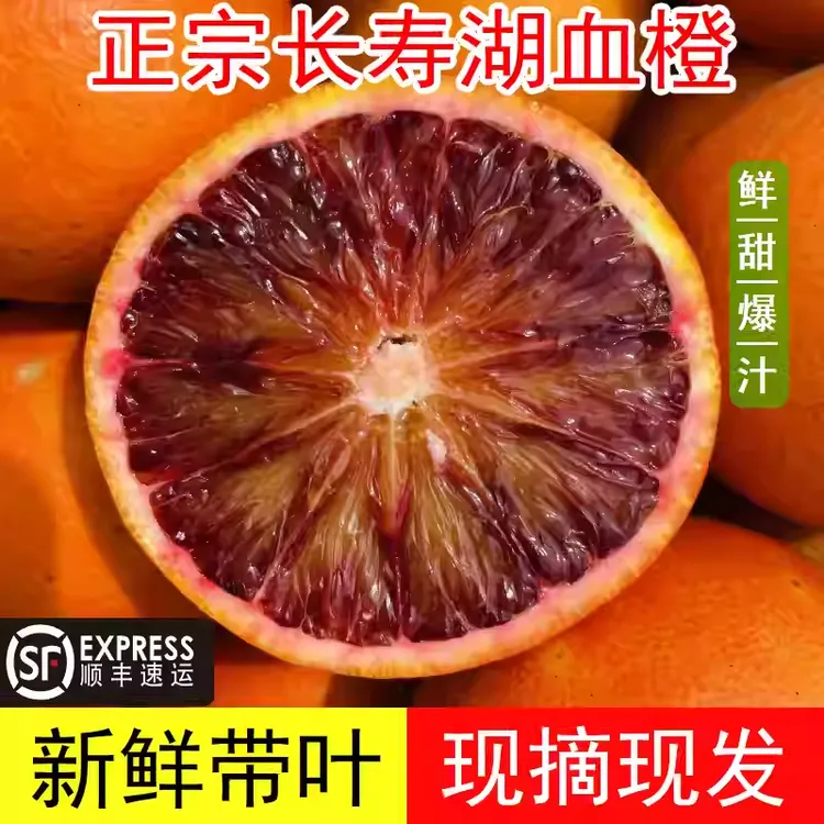 新鲜现摘重庆长寿湖塔罗科玫瑰血脐橙快递发货皮薄香甜大果种植