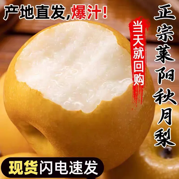 正宗山东莱阳秋月梨产地直发新鲜采摘现摘先发净重4.5斤