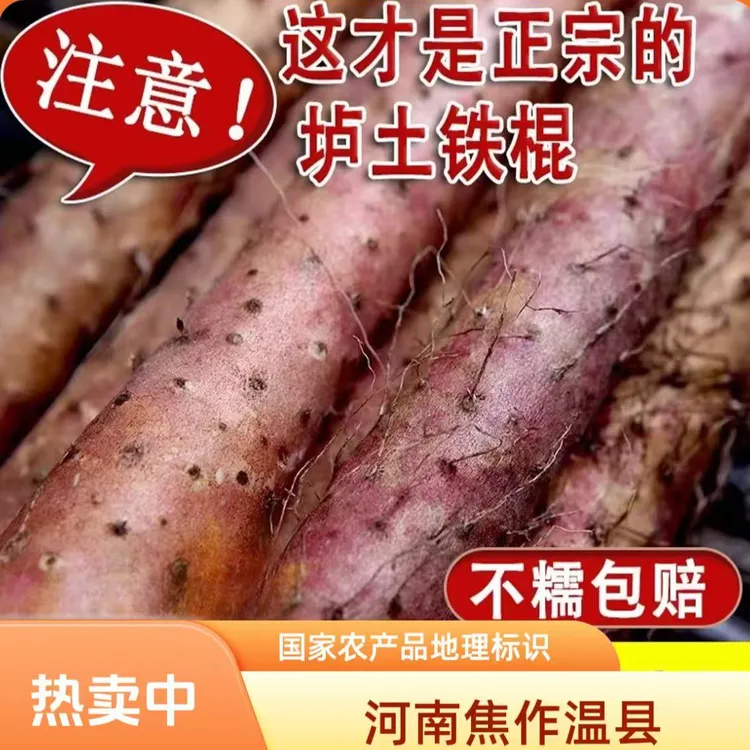 【官方授权】正宗河南焦作温县乌鸡土铁棍红皮铁棍山药特级粉糯