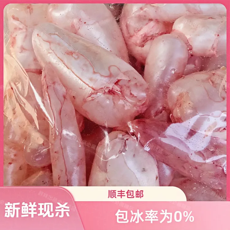 【顺丰冷运】胖妹现杀新鲜鱼泡泡白鲢泡草鱼泡新鲜鱼胶鱼泡鱼鳔食用