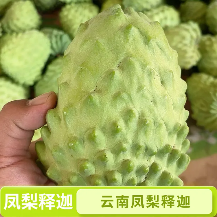 顺丰包邮凤梨释迦果番荔枝新鲜水果牛奶凤梨释迦冰激凌口感