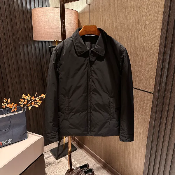 【反logo哲学 轻熟型男】25冬季男士高档百搭翻领白鸭绒防水羽绒服