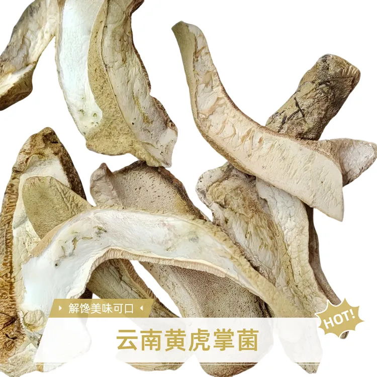 黄虎掌菌，来自于深山老林，草丛中小吃川阿婆海带吴府祥云县你的店