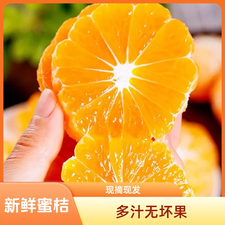 新鲜高山蜜桔薄皮现摘现发无坏果多汁5斤包邮