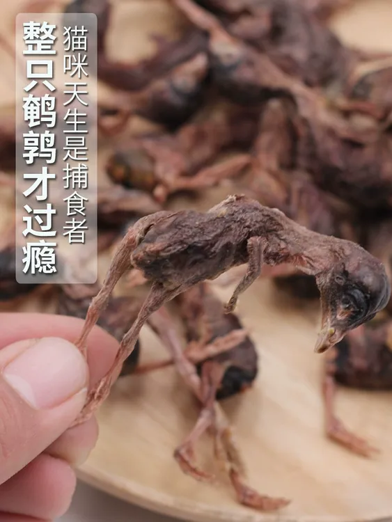 50只鹌鹑冻干猫咪狗狗通用零食增肥发腮补钙磨牙洁齿
