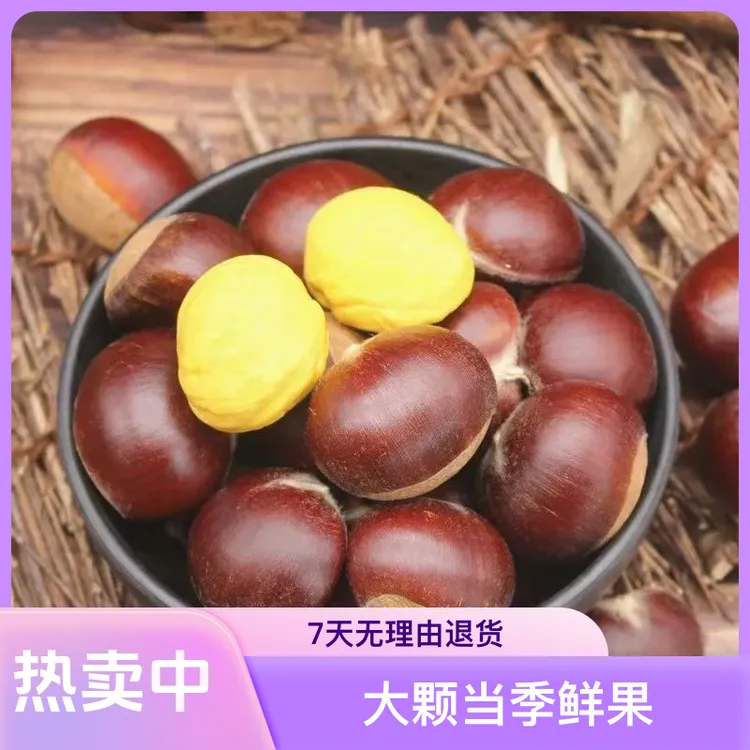 【颗颗精选】广德大红袍鲜板栗大颗当季鲜果生吃脆甜炒熟粉糯毛栗子