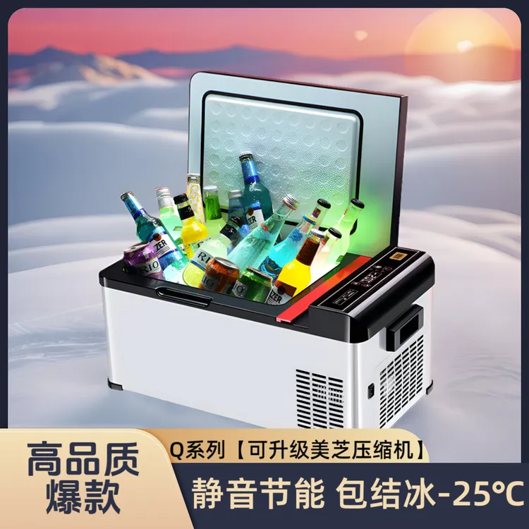 骑炫车载冰箱压缩机制冷迷你车家两用车载小冰箱12v24v220v通用