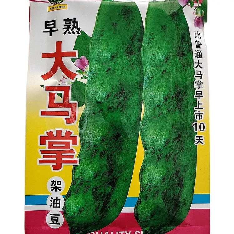 大马掌豆角籽50克
