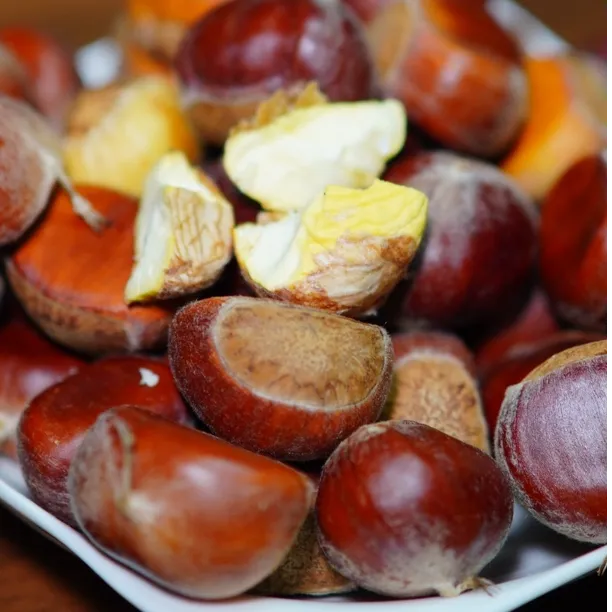 岚皋高山新鲜板栗可蒸烤煎煮的美味零食坚果顺丰包邮