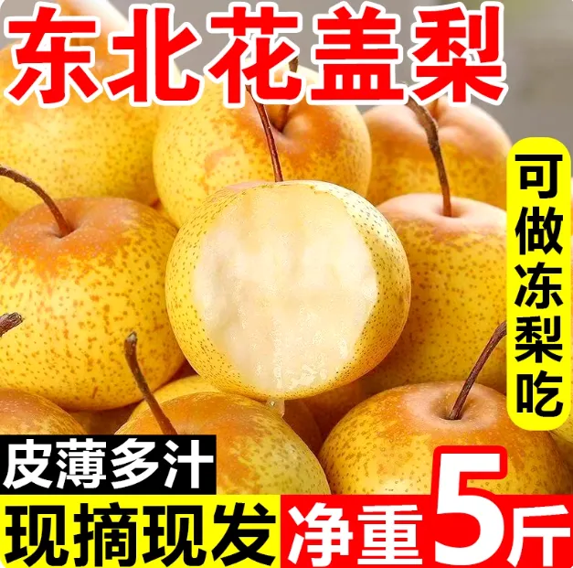 东北特产辽宁鞍山花盖梨可做冻梨皮薄肉厚酸甜爽口原产地直发