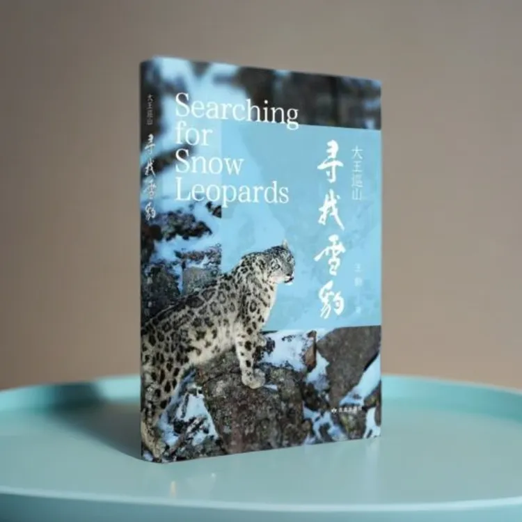 《大王巡山·寻找雪豹》王鹏/著 读者出版社 精美插图沉浸式观察雪豹