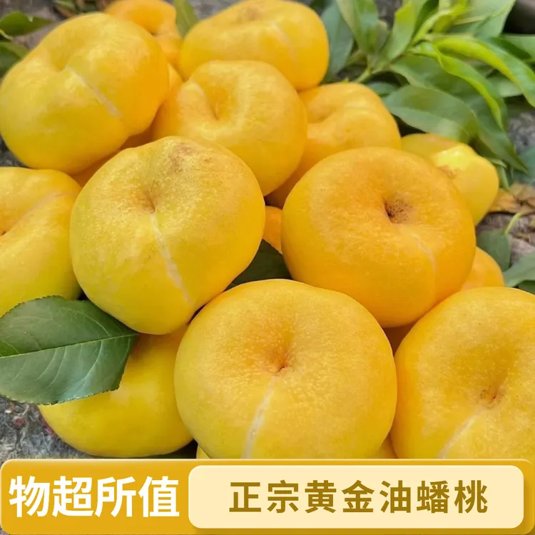 正宗黄金油蟠桃孕妇新鲜水果包邮0陕西油桃脆甜桃子A