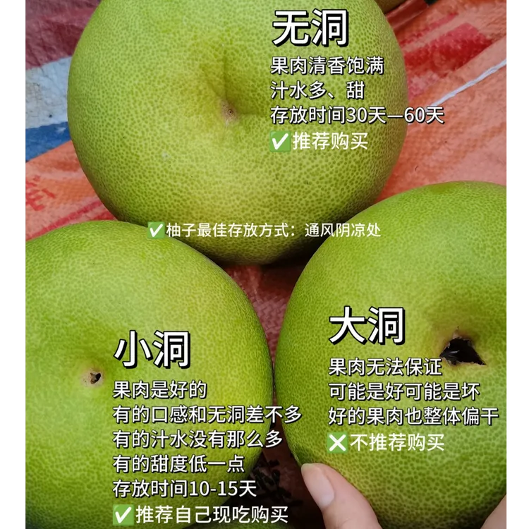 【京东包邮】正宗福建度尾文旦柚孕妇水果