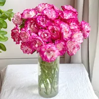 【云舍花卉】【银河】多头玫瑰 全场任意满两单及以上鲜花包邮发货