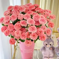 【云舍花卉】【粉色拉拉队】多头玫瑰 全场任意满两单及以上鲜花包邮