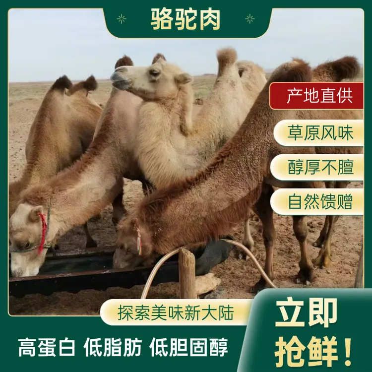 内蒙美食产地直供草原风味醇厚不膻肉质细腻鲜美炖汤食材