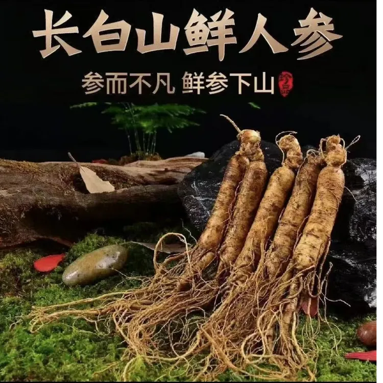 人参林下参野山参泡酒专用以直播间现场为准改价链接