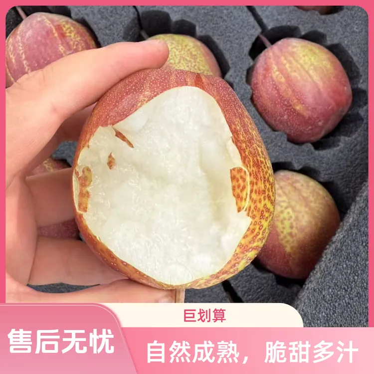 新疆彩虹梨酥脆香甜多汁皮薄肉满自然成熟现摘当季水果