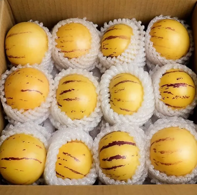 云南石林人参果新鲜水果树熟黄肉圆大果皮薄清甜多汁3/5应季水果