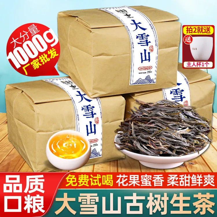 新益号大雪山普洱茶生茶新茶云南古树散茶生普洱口粮春茶叶送礼袋